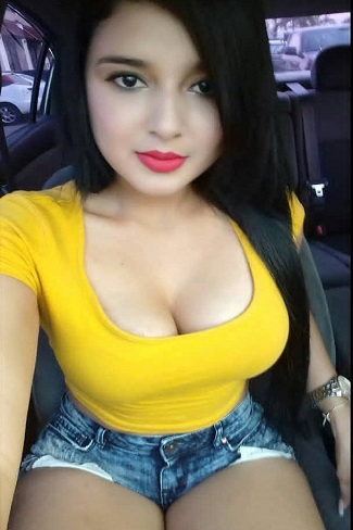 Wagholi Escorts
